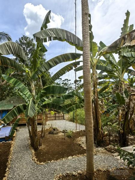 2 bedroom House and Lot for sale in San Francisco in Cebu