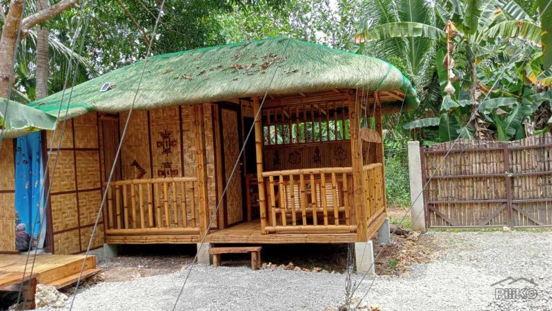 2 bedroom House and Lot for sale in San Francisco in Cebu - image
