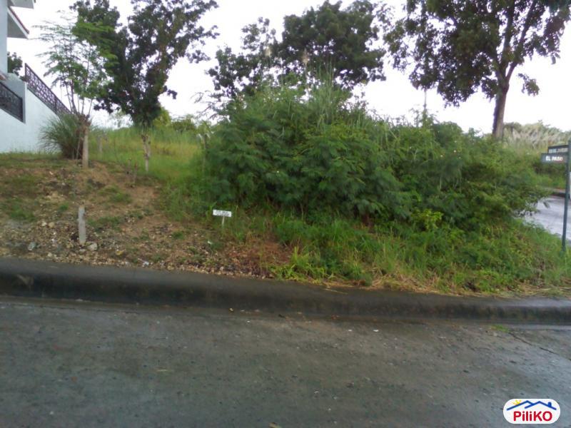 Pictures of Residential Lot for sale in Cebu City