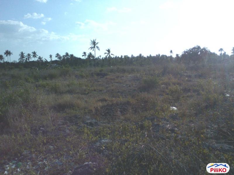 Picture of Residential Lot for sale in Cebu City