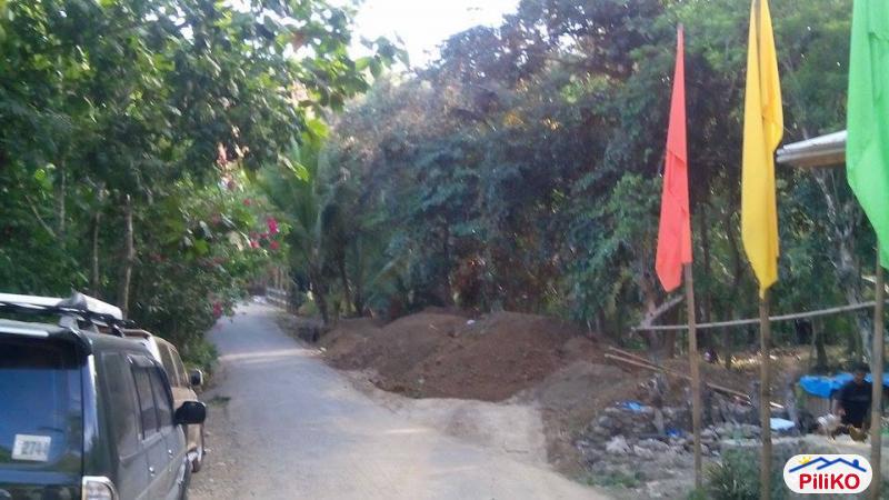 Residential Lot for sale in Cebu City - image 3