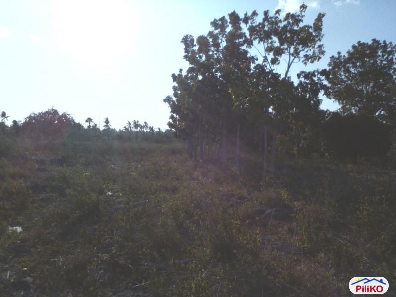 Picture of Residential Lot for sale in Cebu City in Cebu