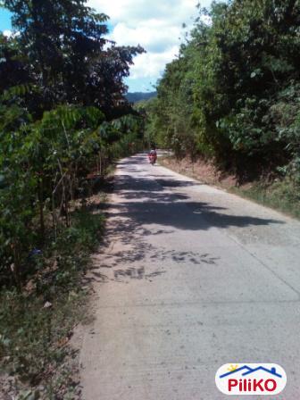 Residential Lot for sale in Cebu City - image 5