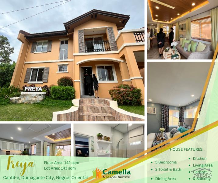 Picture of 5 bedroom Houses for sale in Dumaguete
