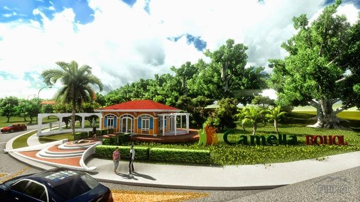 Picture of Land and Farm for sale in Tagbilaran City