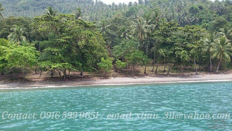 Picture of Other lots for sale in Island Garden City of Samal