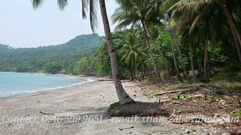 Other lots for sale in Island Garden City of Samal