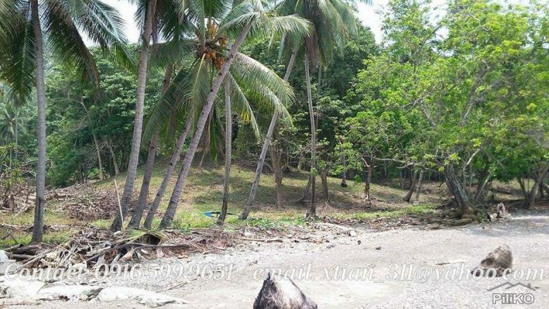 Other lots for sale in Island Garden City of Samal in Davao del Norte