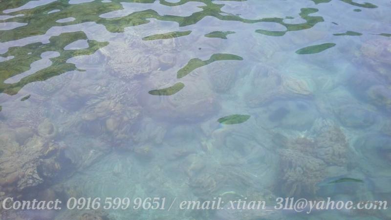 Other lots for sale in Island Garden City of Samal - image 4