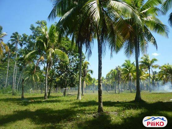 Pictures of Residential Lot for sale in Davao City