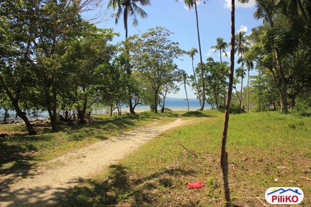 Picture of Commercial Lot for sale in Davao City