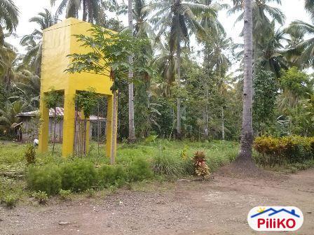 Pictures of Agricultural Lot for sale in Davao City