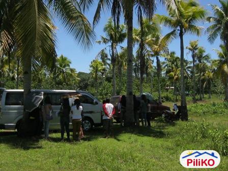 Picture of Residential Lot for sale in Davao City