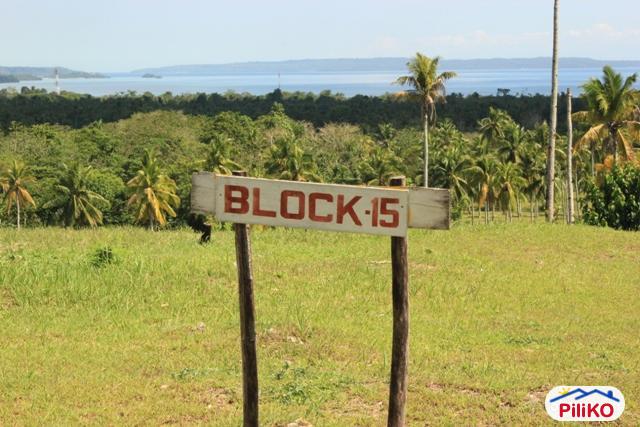 Residential Lot for sale in Davao City - image 2
