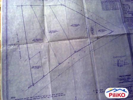 Agricultural Lot for sale in Davao City - image 2