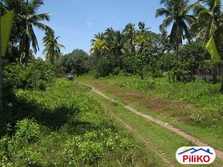 Residential Lot for sale in Davao City - image 2