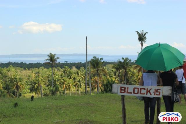 Residential Lot for sale in Davao City - image 3
