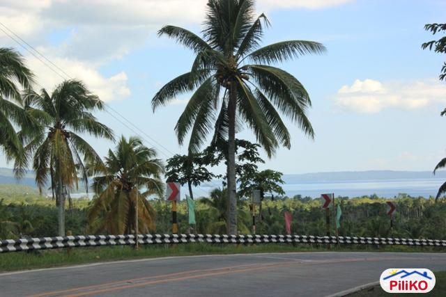 Residential Lot for sale in Davao City - image 4