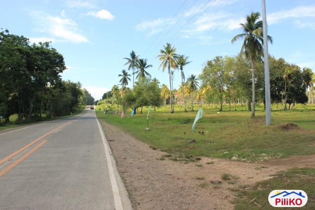 Residential Lot for sale in Davao City - image 5