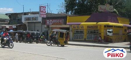 Residential Lot for sale in Davao City - image 9