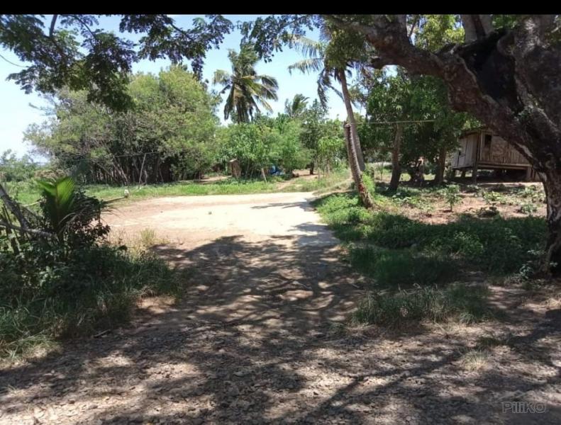 Land and Farm for sale in Saguday in Philippines