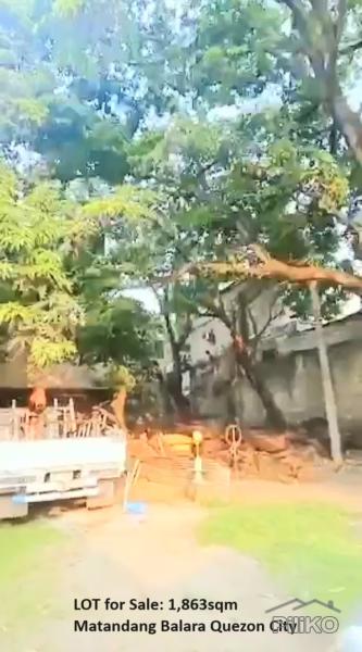 Commercial Lot for sale in Quezon City - image 2