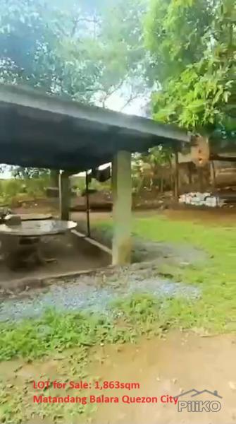 Commercial Lot for sale in Quezon City - image 4