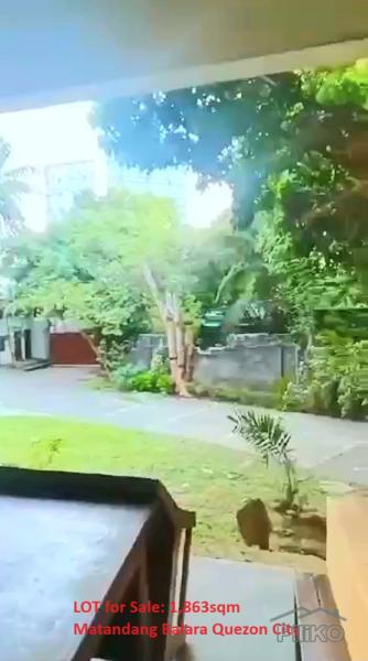 Commercial Lot for sale in Quezon City - image 6