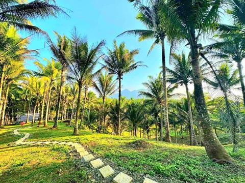 Other lots for sale in Lucban - image 3
