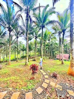 Other lots for sale in Lucban - image 4