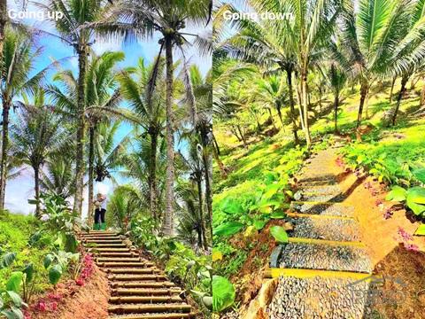 Other lots for sale in Lucban - image 5