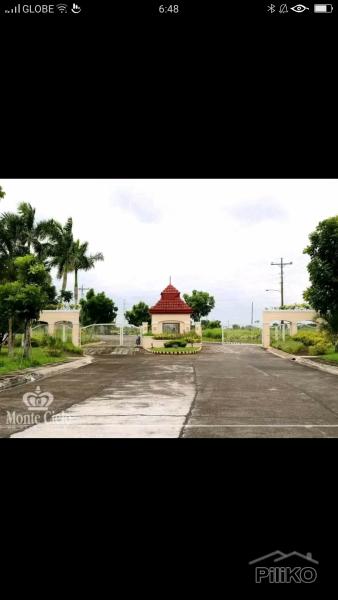 Pictures of Residential Lot for sale in Naga