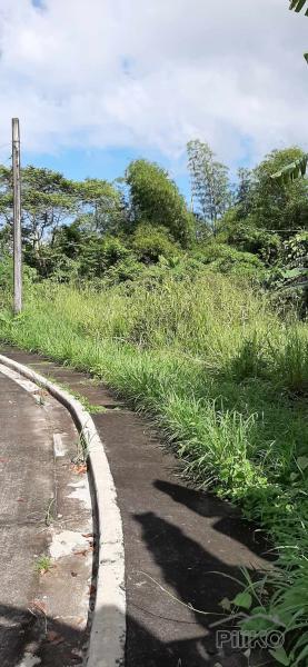 Residential Lot for sale in Naga in Camarines Sur