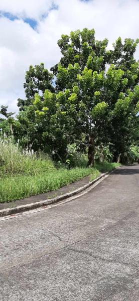 Residential Lot for sale in Naga in Philippines
