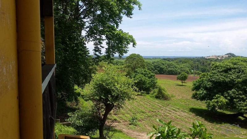 Picture of Land and Farm for sale in Calatagan