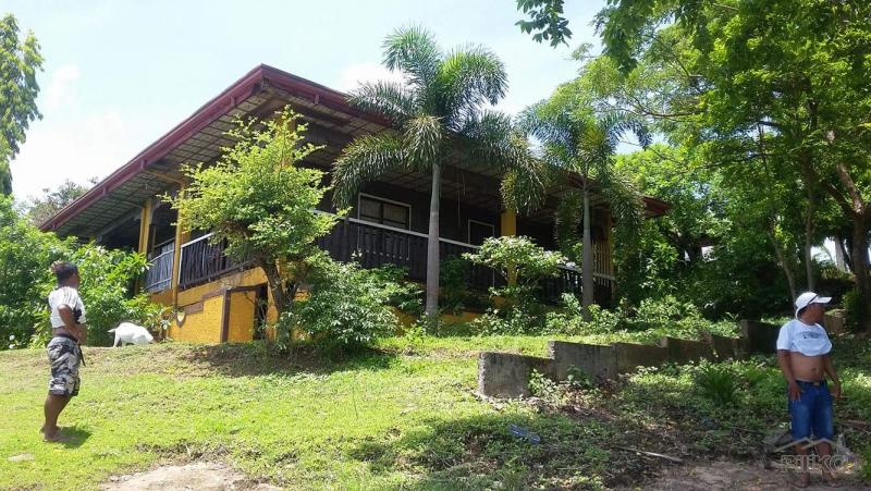 Land and Farm for sale in Calatagan