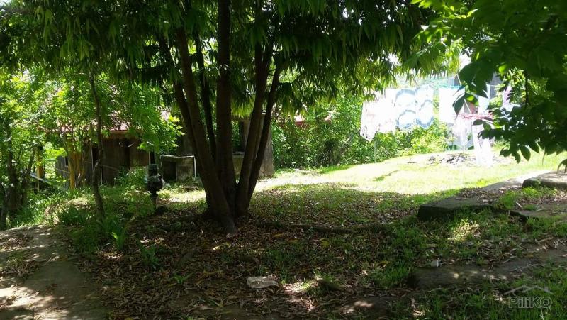 Land and Farm for sale in Calatagan in Philippines