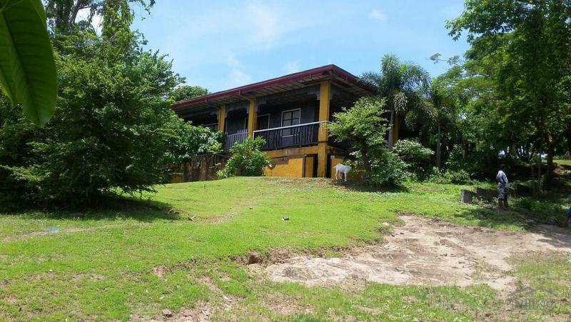 Land and Farm for sale in Calatagan - image 5