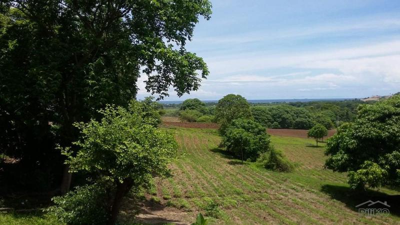 Picture of Land and Farm for sale in Calatagan in Philippines