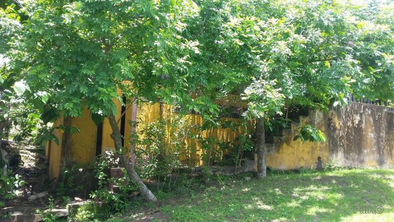 Land and Farm for sale in Calatagan in Batangas - image