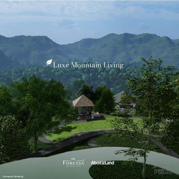 Residential Lot for sale in Balamban - image 3