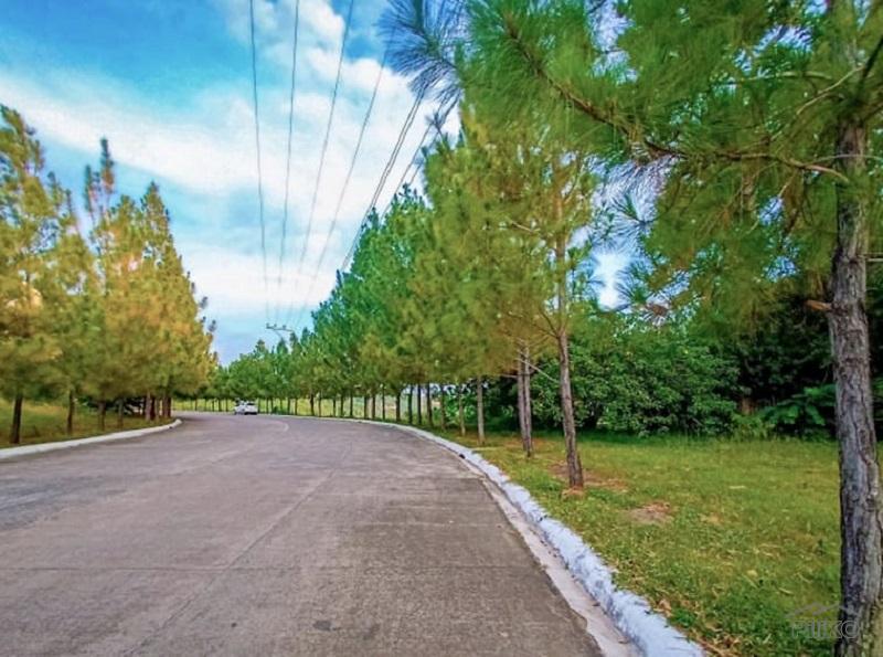 4 bedroom House and Lot for sale in Cebu City - image 4