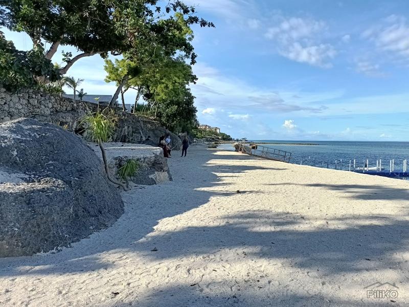 1 bedroom Condominium for sale in Lapu Lapu