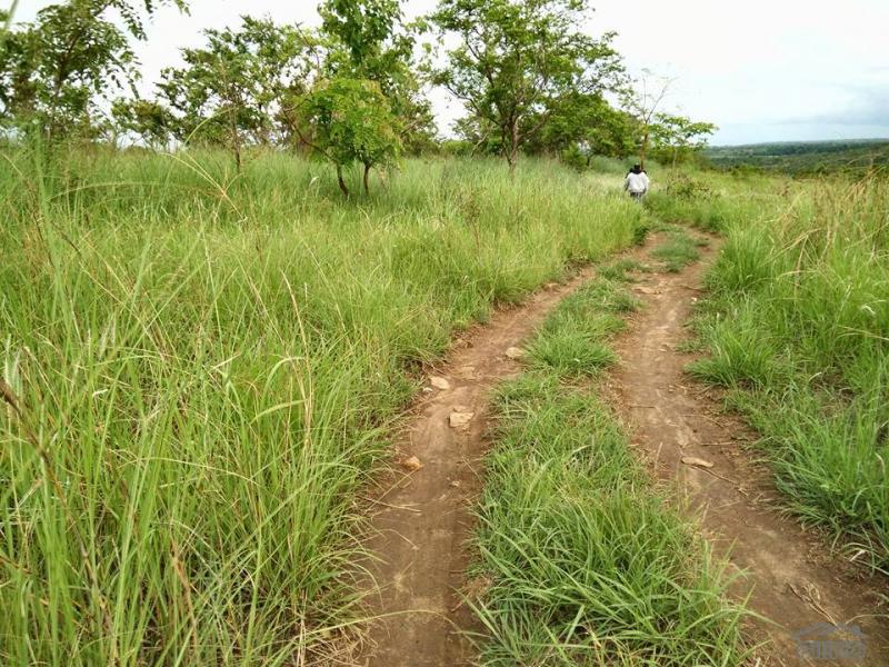 Land and Farm for sale in Botolan - image 2
