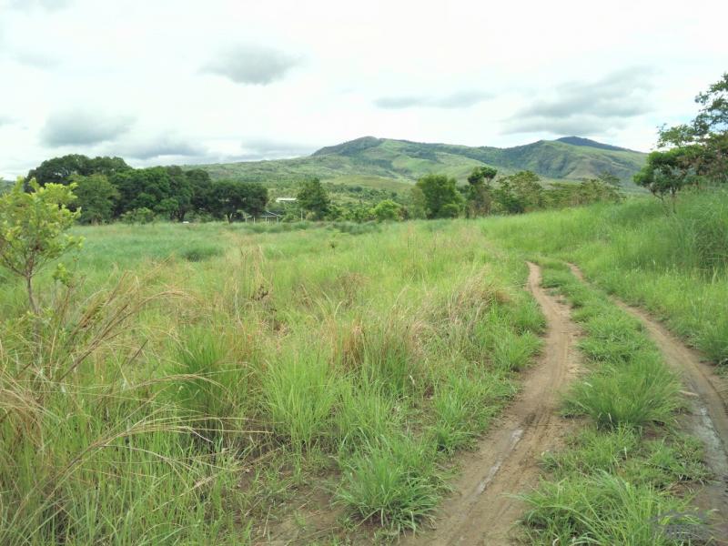 Land and Farm for sale in Botolan in Zambales
