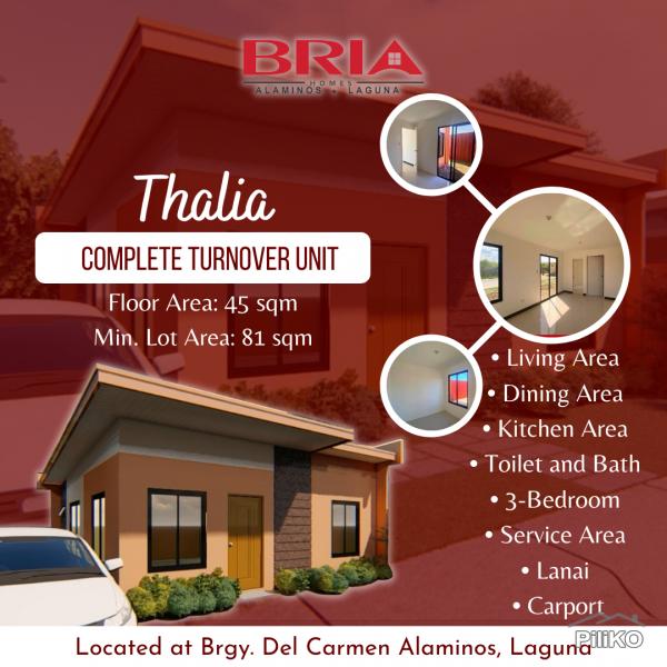 Pictures of 3 bedroom House and Lot for sale in Alaminos