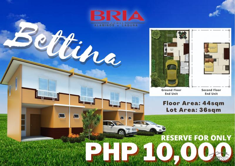 Pictures of 2 bedroom House and Lot for sale in Alaminos