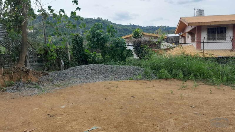 Picture of Residential Lot for sale in Cebu City in Philippines