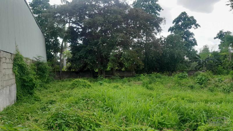 Residential Lot for sale in Cebu City in Philippines