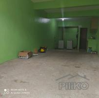 8 bedroom House and Lot for sale in Pasay in Philippines - image